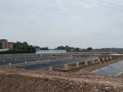 鹽城徐總拿下新棚，購(gòu)買40臺(tái)恩拓博高速增氧機(jī)