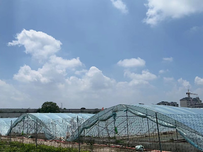 恩拓博高速增氧機上海使用案例！